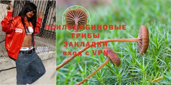 каннабис Алексин