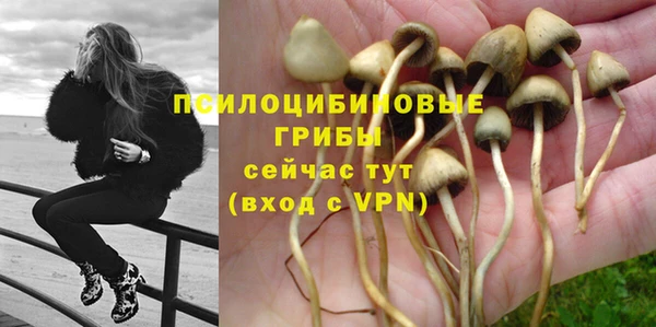 прущая мука Абаза